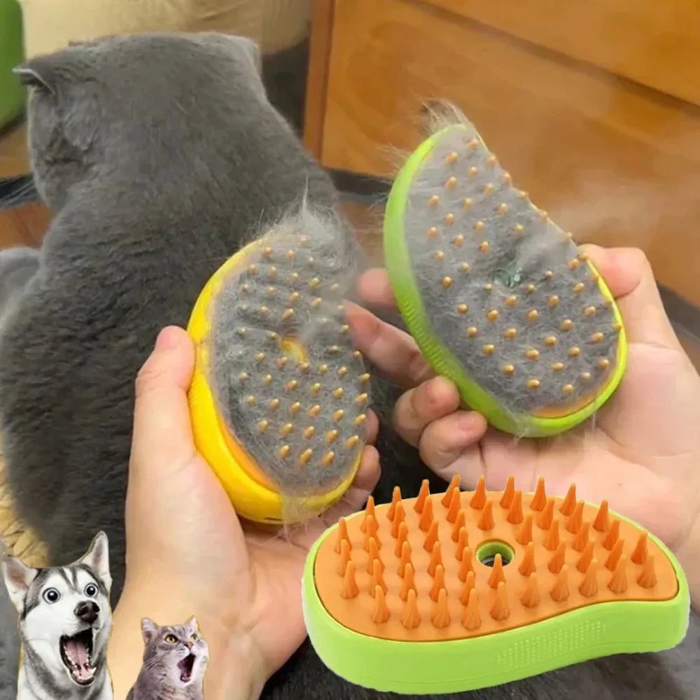 Electric Brush Pet