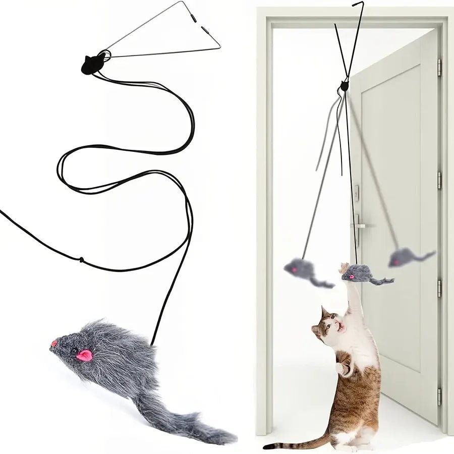 Door Hanging Cat Toy - Fizu