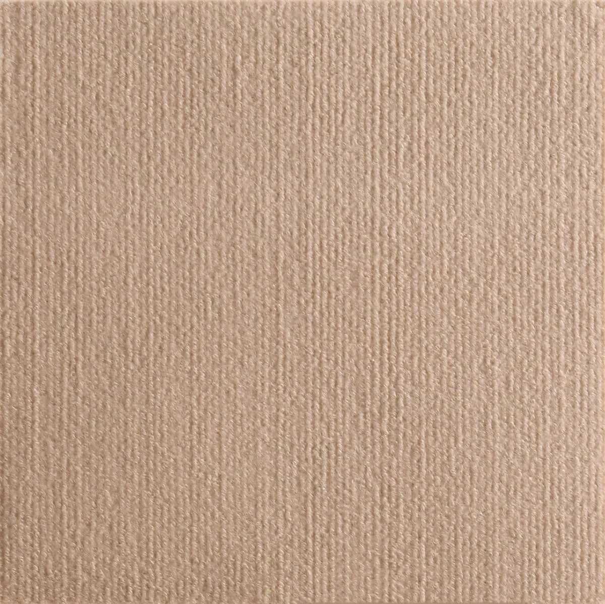 Self - Adhesive Scratching Mat Cat - Fizu