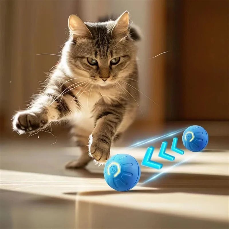 Smart Dog Toy Ball - Fizu