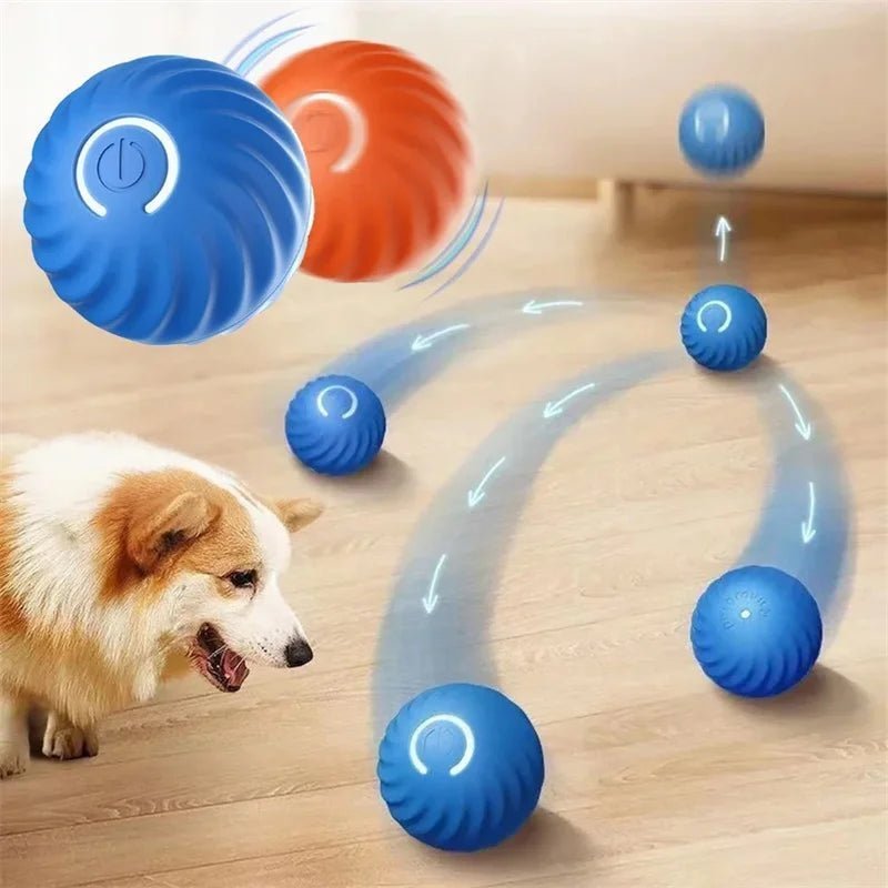 Smart Dog Toy Ball - Fizu