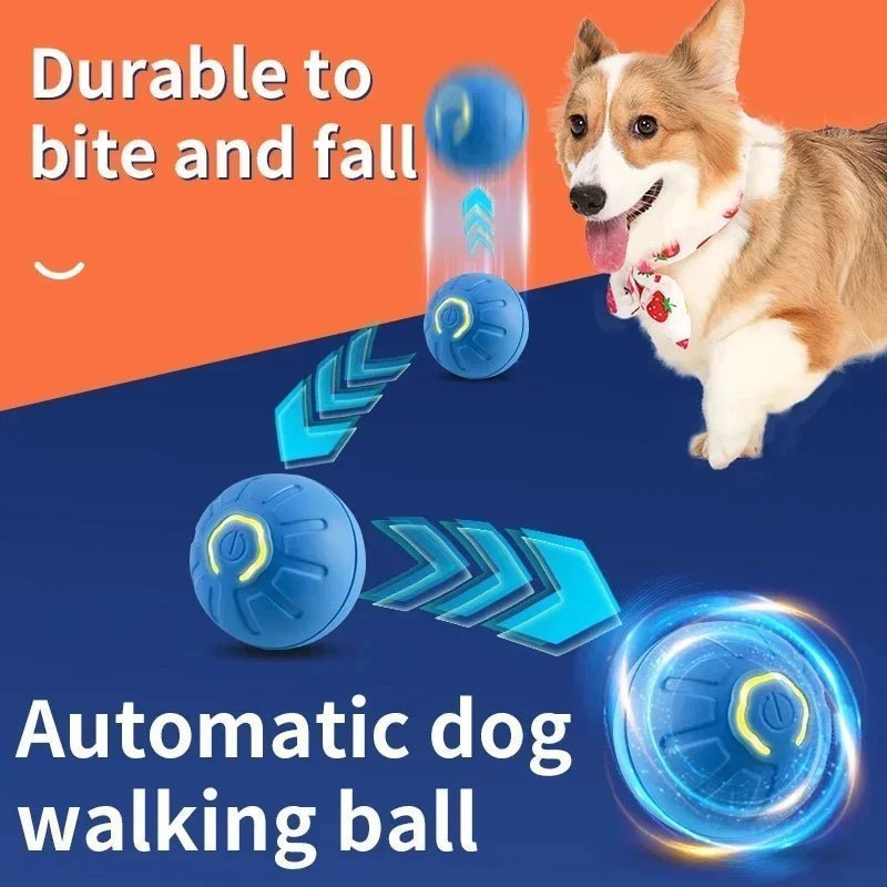 Smart Dog Toy Ball - Fizu