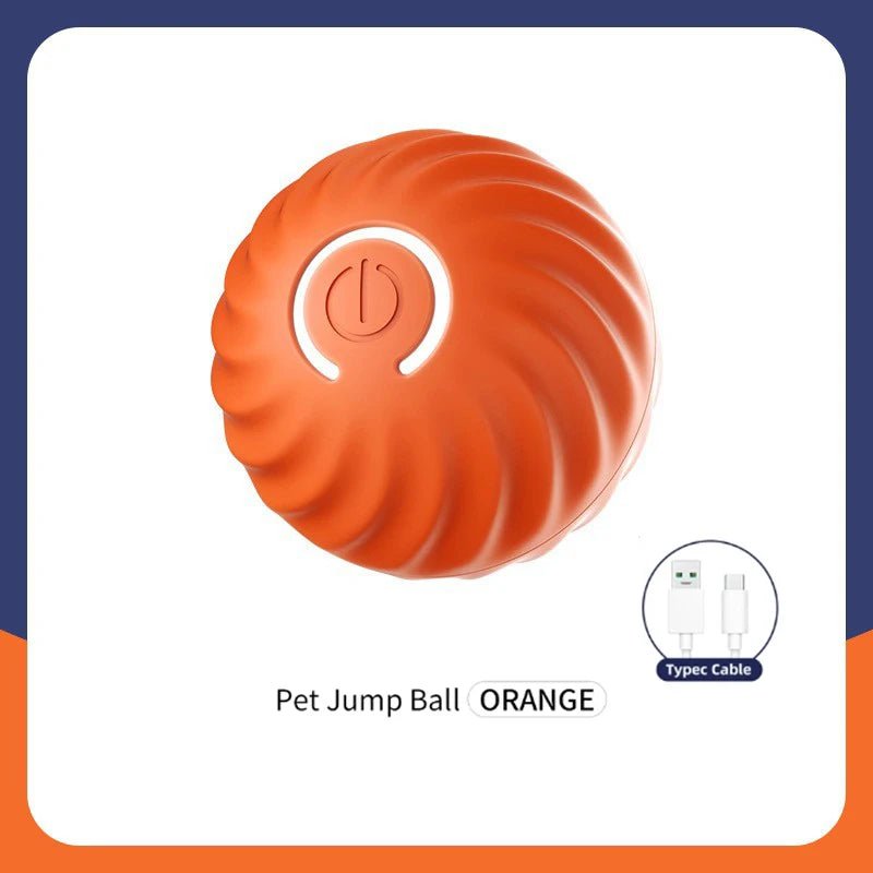 Smart Dog Toy Ball - Fizu