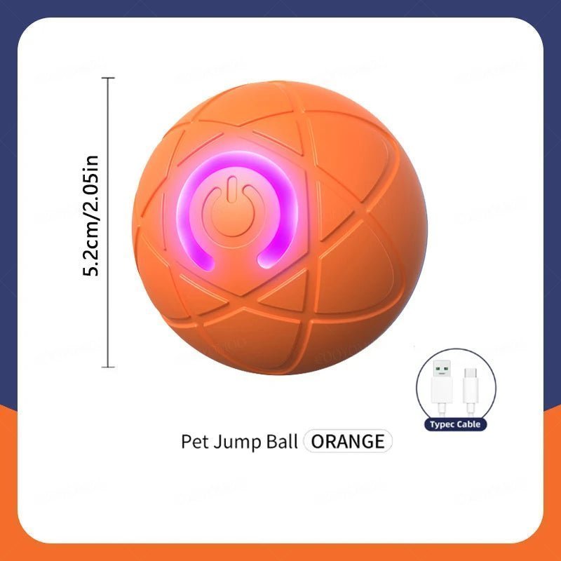 Smart Dog Toy Ball - Fizu