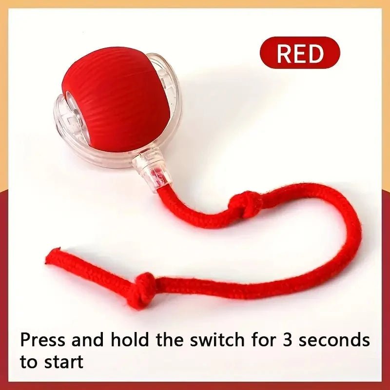 Smart Dog Toy Ball - Fizu