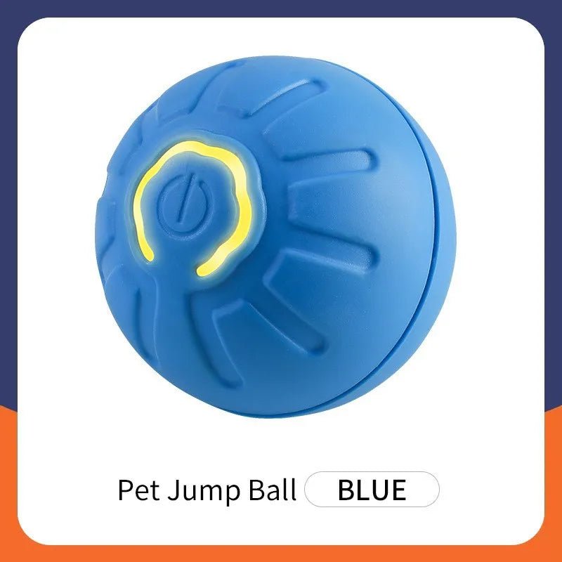 Smart Dog Toy Ball - Fizu