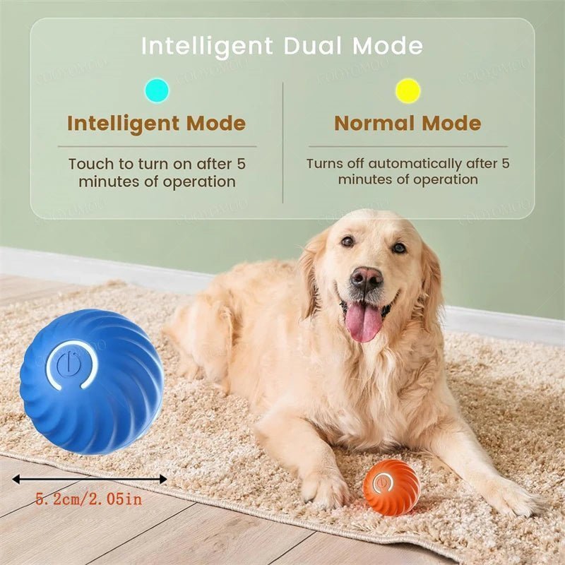 Smart Dog Toy Ball - Fizu