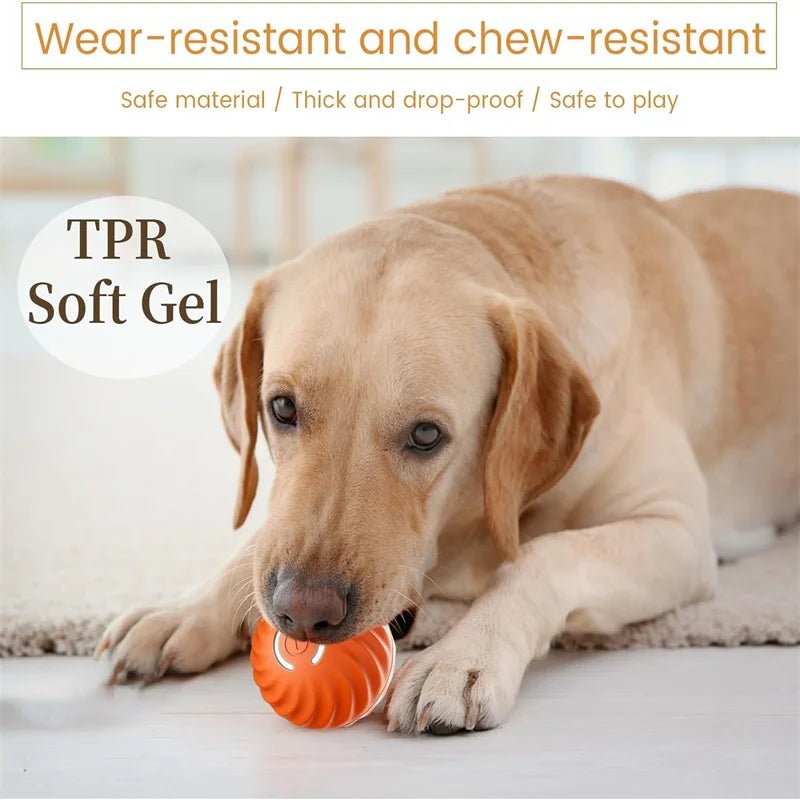 Smart Dog Toy Ball - Fizu