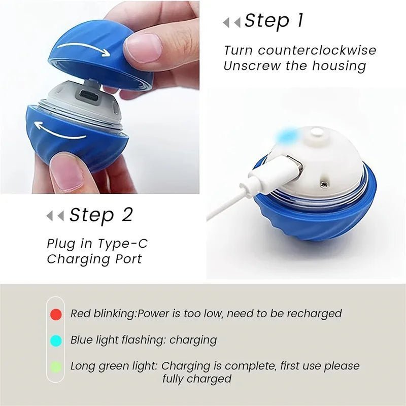 Smart Dog Toy Ball - Fizu