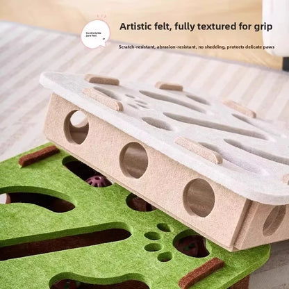 Box Cat Exercise Toy