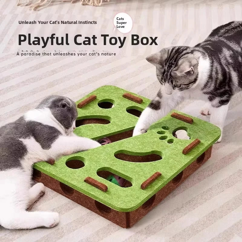 Box Cat Exercise Toy