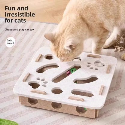 Box Cat Exercise Toy