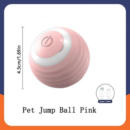 Smart Dog Toy Ball - Fizu