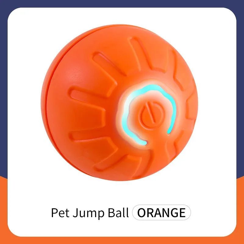 Smart Dog Toy Ball - Fizu