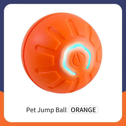 Smart Dog Toy Ball - Fizu