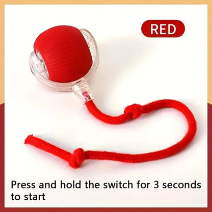Smart Dog Toy Ball - Fizu
