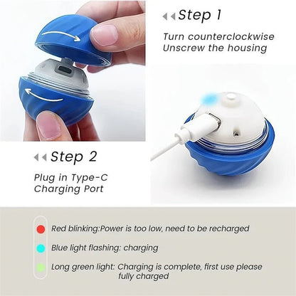 Smart Dog Toy Ball - Fizu